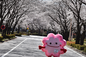 式典には、市のキャラクタ―のぽぽたんも来てくれたんだ!!