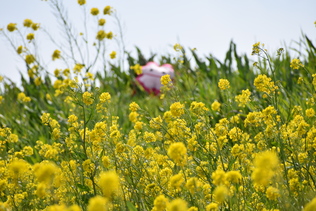 式典には、市のキャラクタ―のぽぽたんも来てくれたんだ!!